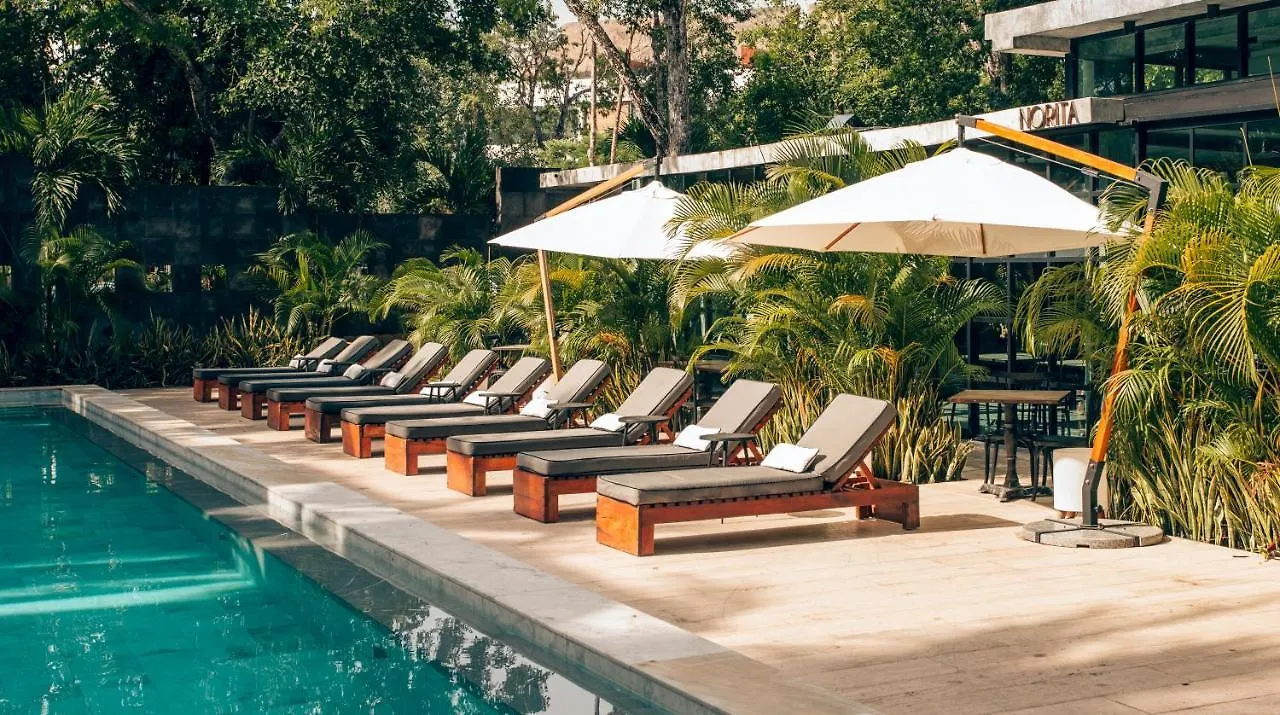 Arthouse Art Residences Tulum 3*,
